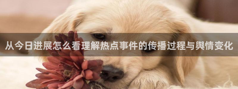 黑料爆料网络话题